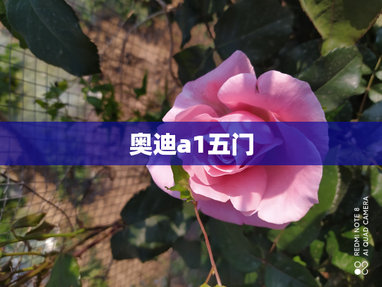 奥迪a1五门