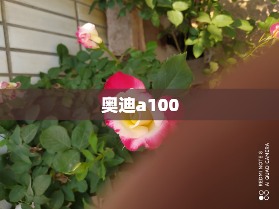 奥迪a100