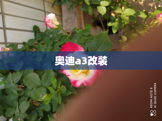 奥迪a3改装