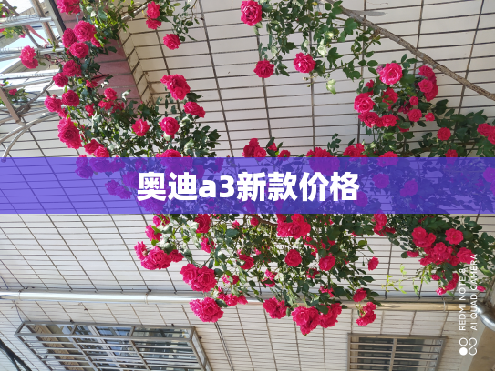 奥迪a3新款价格