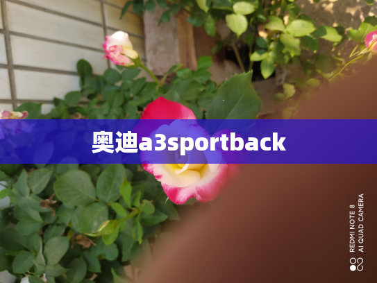 奥迪a3sportback