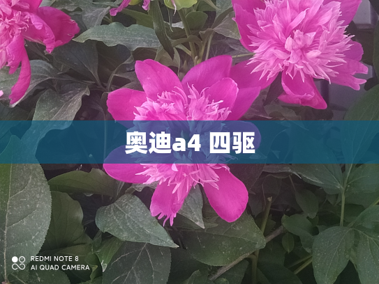 奥迪a4 四驱