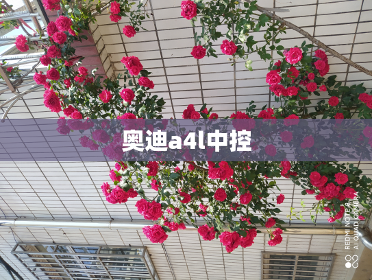 奥迪a4l中控