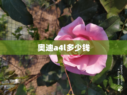 奥迪a4l多少钱