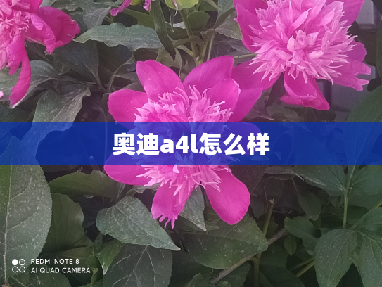奥迪a4l怎么样