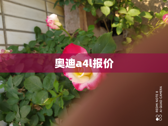 奥迪a4l报价