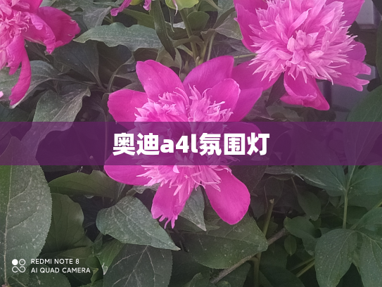奥迪a4l氛围灯
