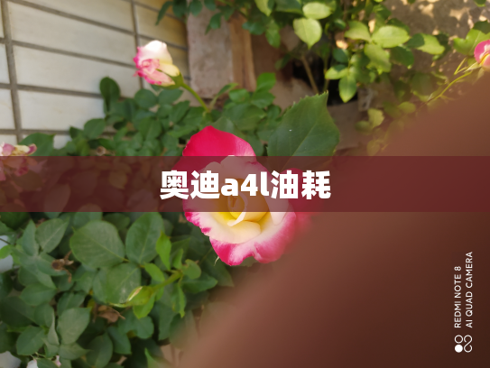 奥迪a4l油耗