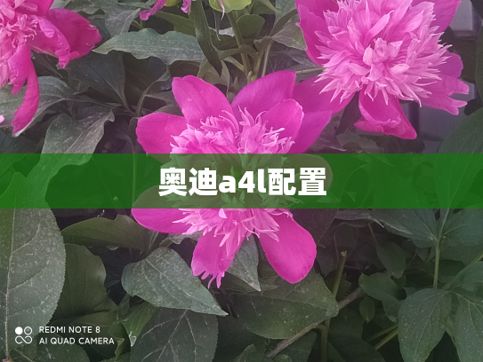 奥迪a4l配置
