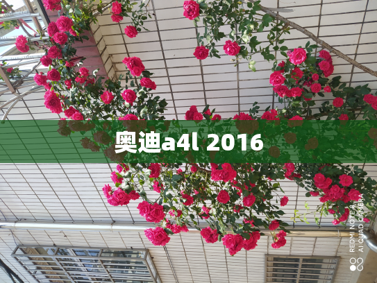 奥迪a4l 2016
