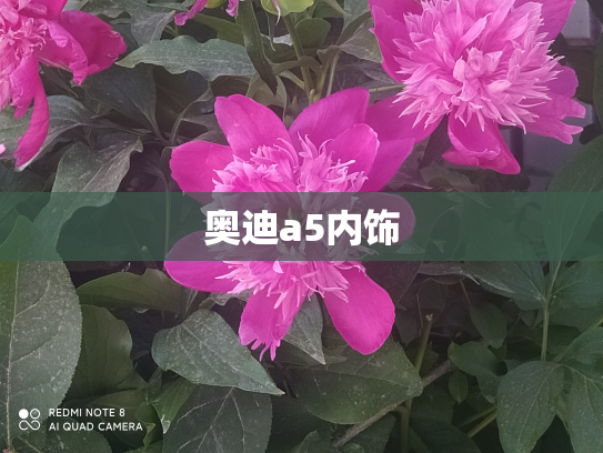 奥迪a5内饰