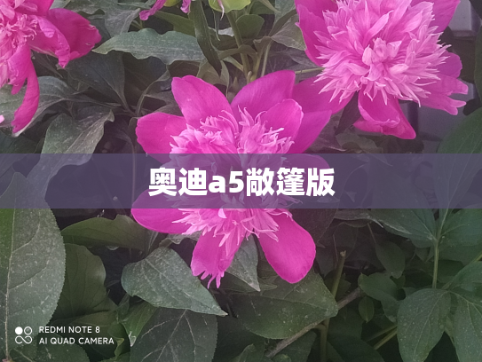 奥迪a5敞篷版
