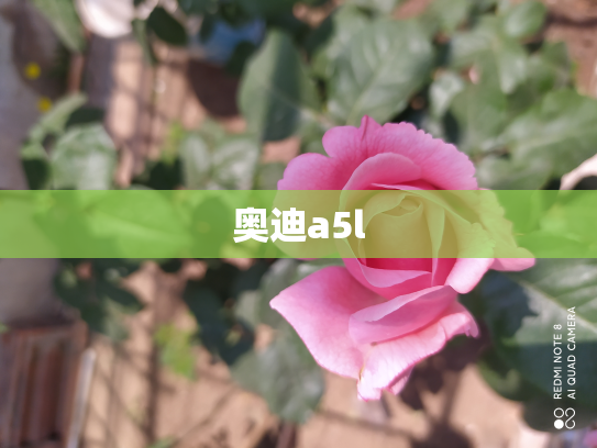 奥迪a5l