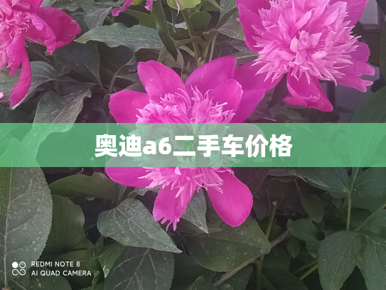 奥迪a6二手车价格