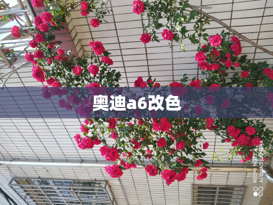 奥迪a6改色