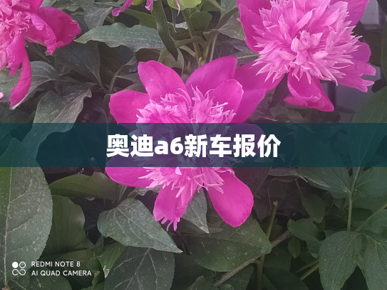 奥迪a6新车报价