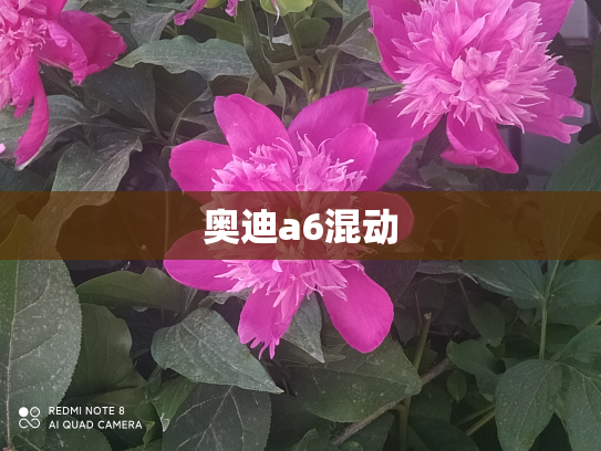 奥迪a6混动
