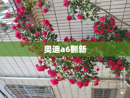 奥迪a6翻新