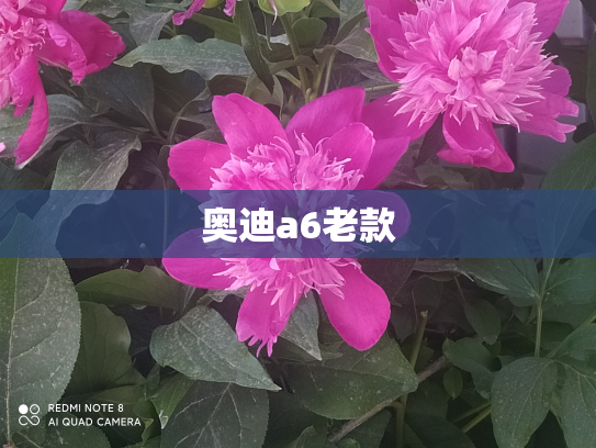 奥迪a6老款