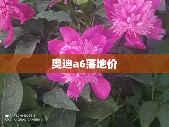 奥迪a6落地价