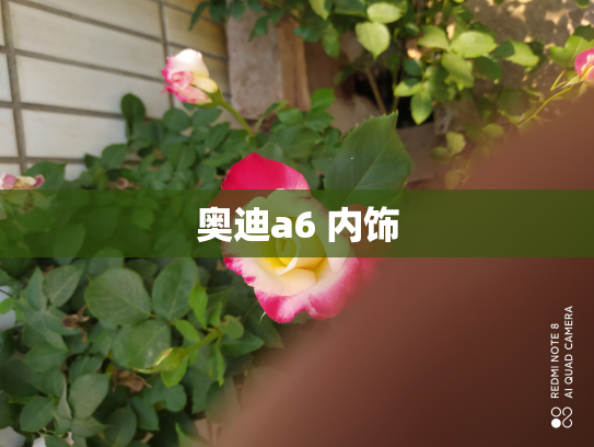 奥迪a6 内饰