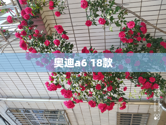 奥迪a6 18款