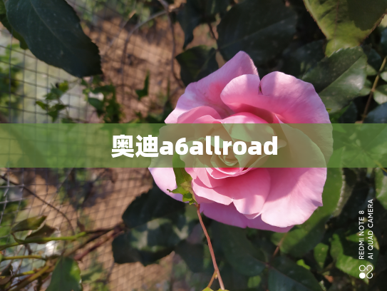 奥迪a6allroad