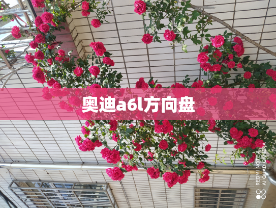 奥迪a6l方向盘