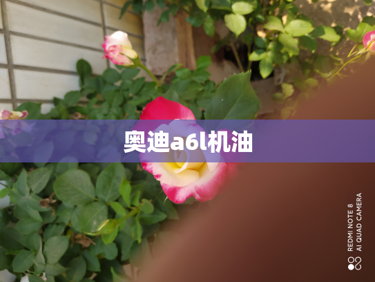 奥迪a6l机油