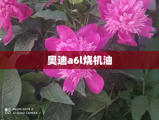奥迪a6l烧机油