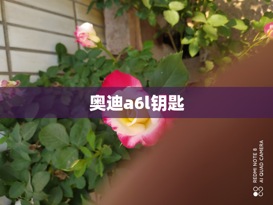 奥迪a6l钥匙