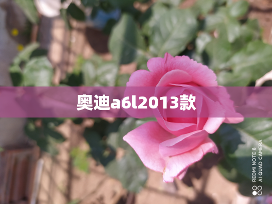 奥迪a6l2013款