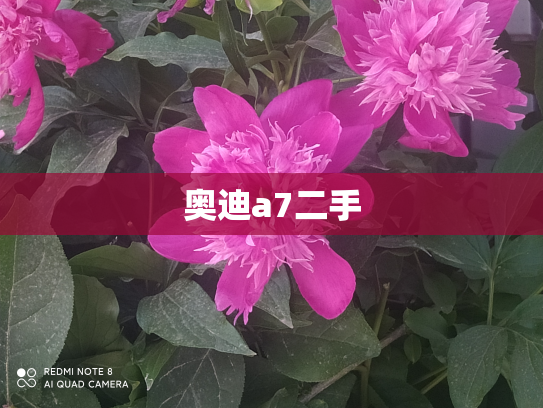 奥迪a7二手