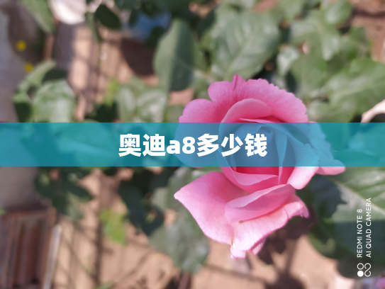 奥迪a8多少钱