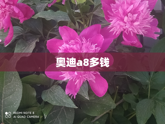奥迪a8多钱