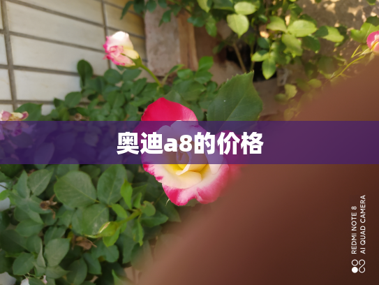 奥迪a8的价格