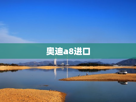 奥迪a8进口