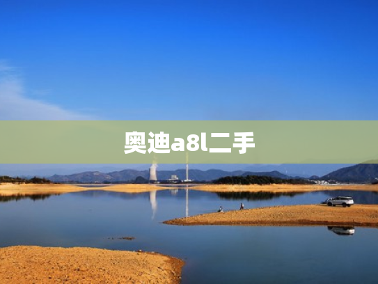 奥迪a8l二手