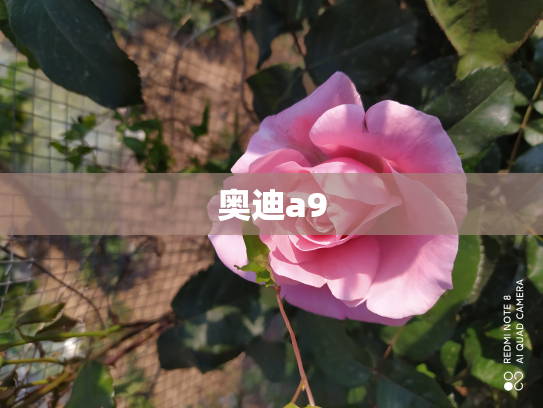 奥迪a9