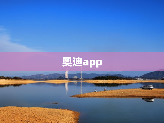 奥迪app