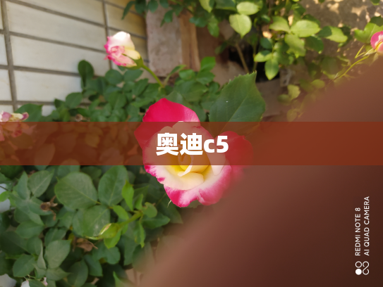 奥迪c5
