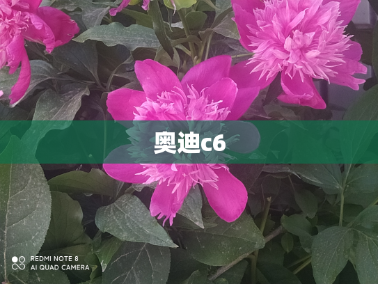 奥迪c6