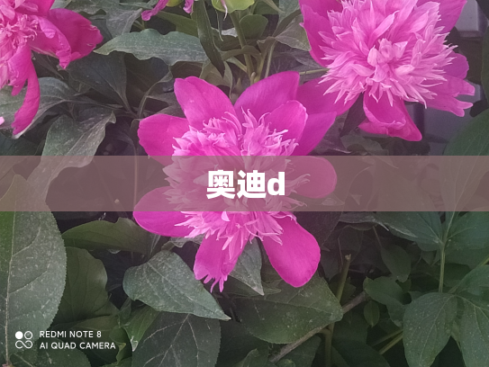 奥迪d