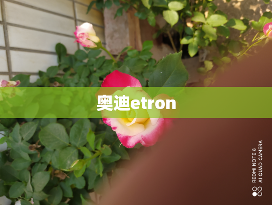 奥迪etron