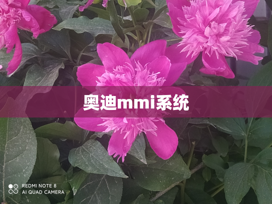 奥迪mmi系统