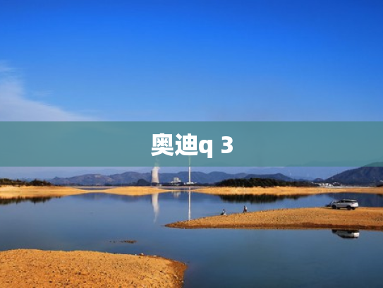 奥迪q 3