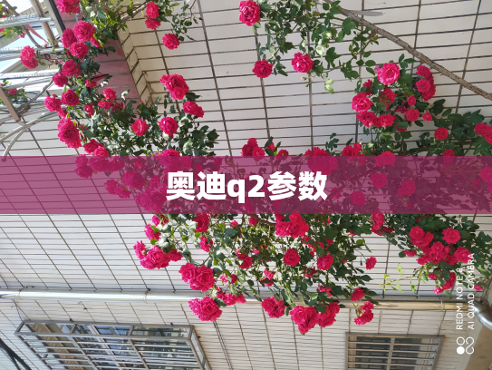 奥迪q2参数