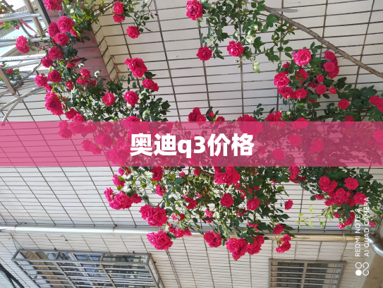 奥迪q3价格