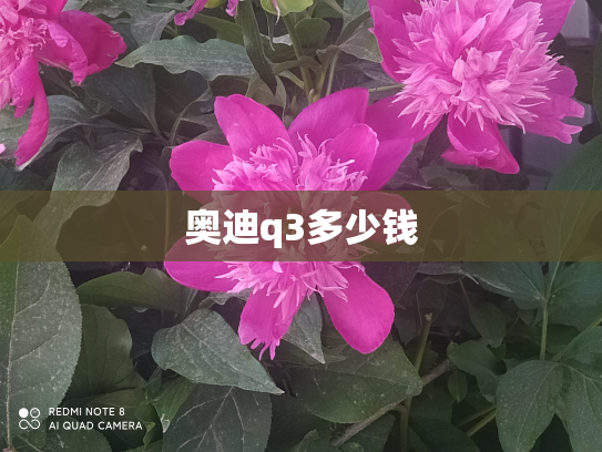 奥迪q3多少钱