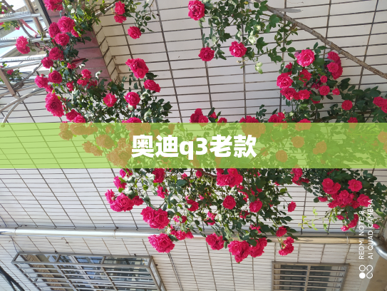 奥迪q3老款